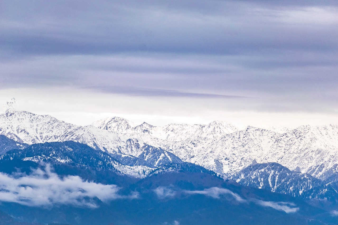 shimla couple tour from chandigarh