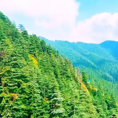 Green Valley Shimla