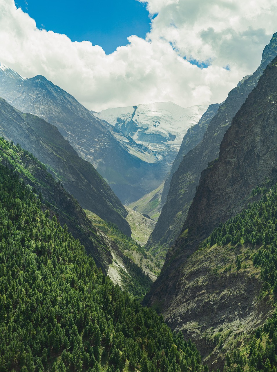 shimla couple tour from chandigarh