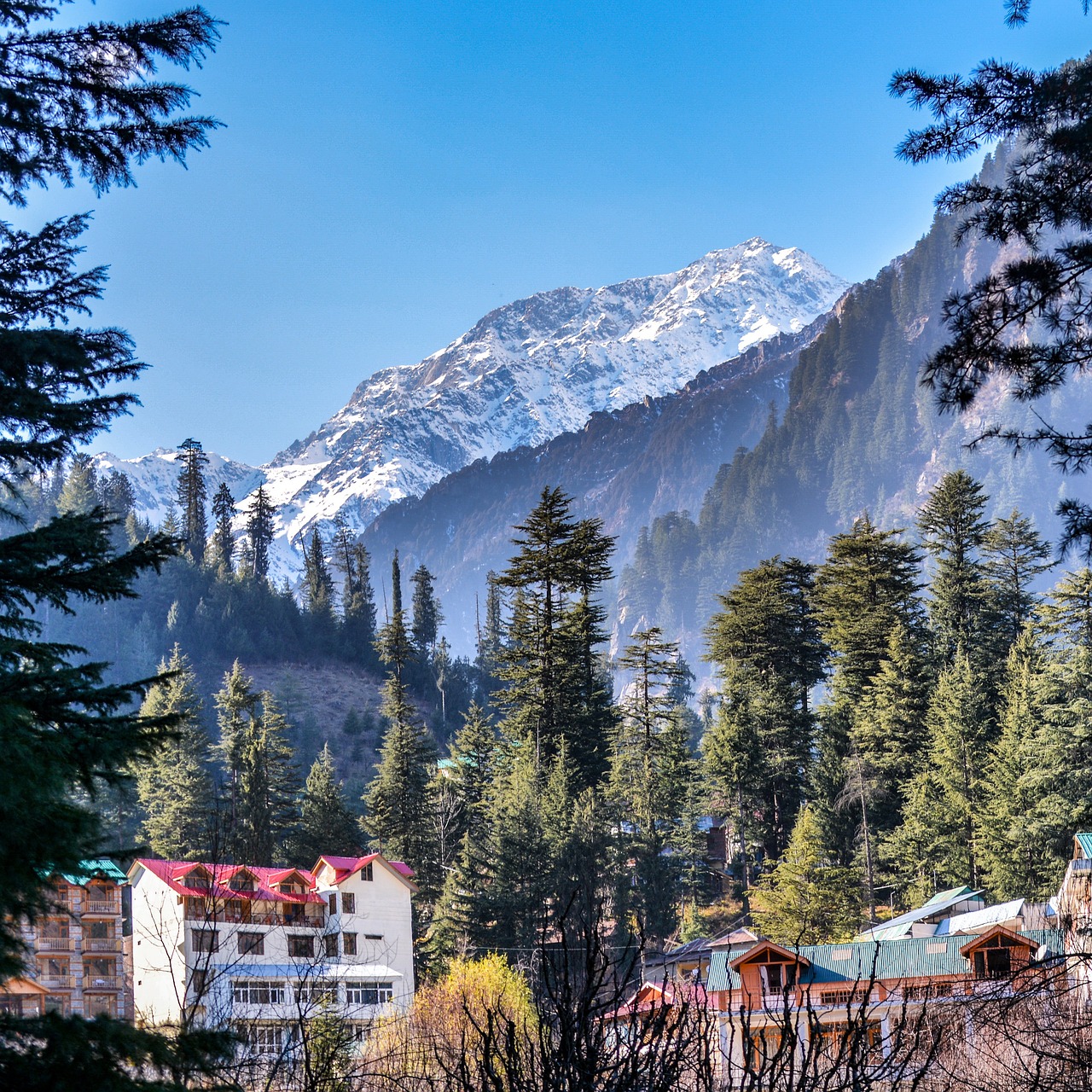 shimla couple tour from chandigarh